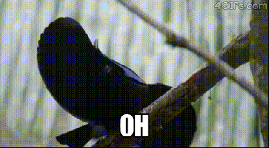 tumblr_inline_mit741YovV1qz4rgp